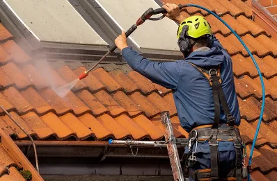 Démoussage et hydrofuge de toiture à Landisacq